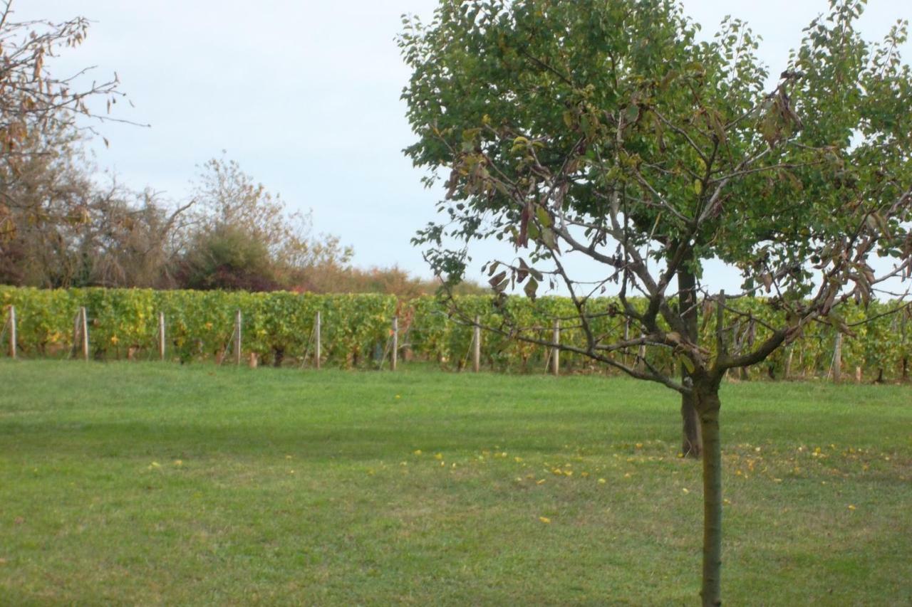 Armalou Bed & Breakfast Pouilly-sur-Loire Exterior photo
