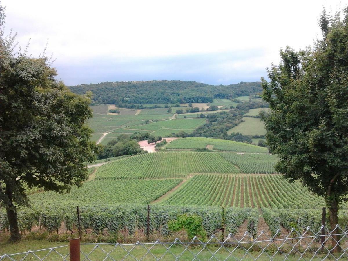 Armalou Bed & Breakfast Pouilly-sur-Loire Exterior photo
